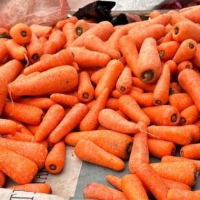 Zanahorias frescas y crujientes de la feria de Santiago